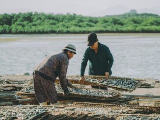 Deux personnes travaillant en coopérative et séchant du poisson au bord de la mer.